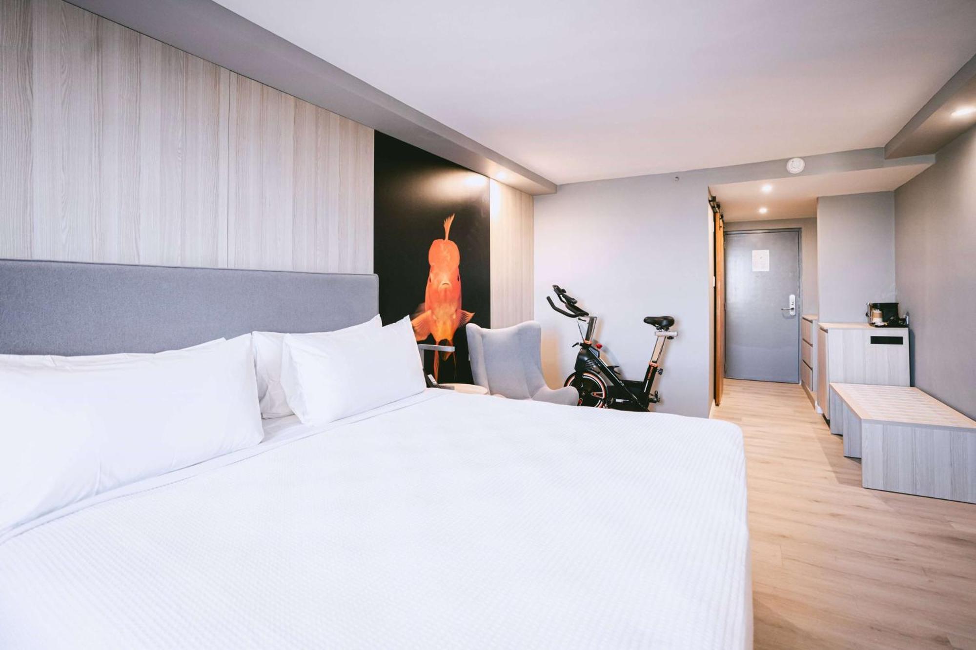 Hotel Tryp By Wyndham Aruba (Adults Only) Palm Beach Exterior foto